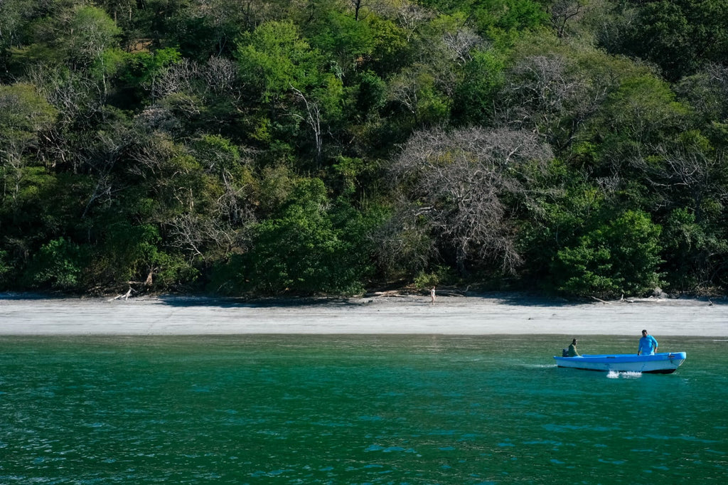 Tour de Snorkeling