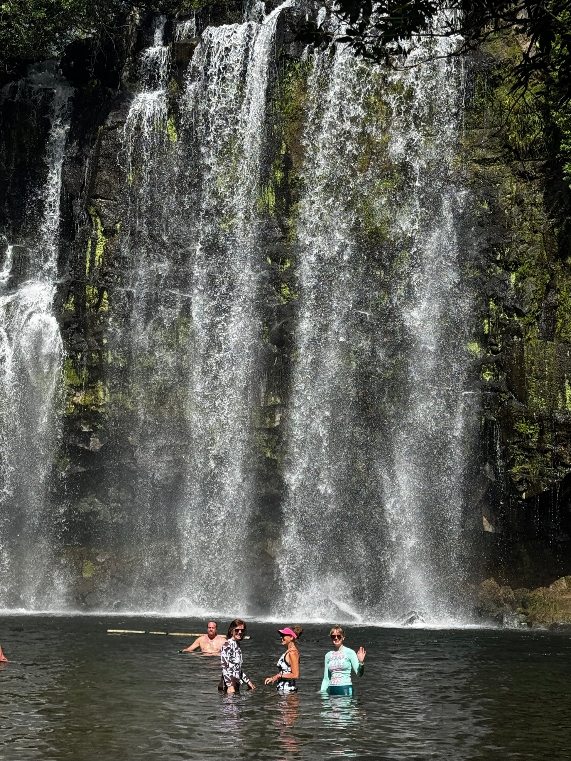 Tour Guiado de Avistamientos – Cataratas, Vida Silvestre y Río Celeste