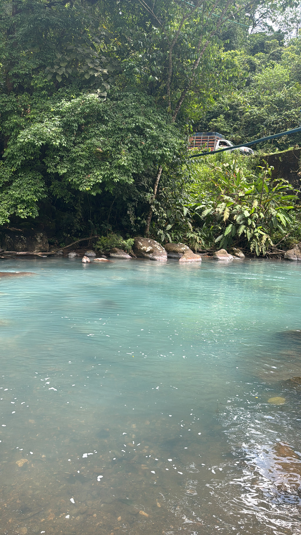 Tour Guiado de Avistamientos – Cataratas, Vida Silvestre y Río Celeste