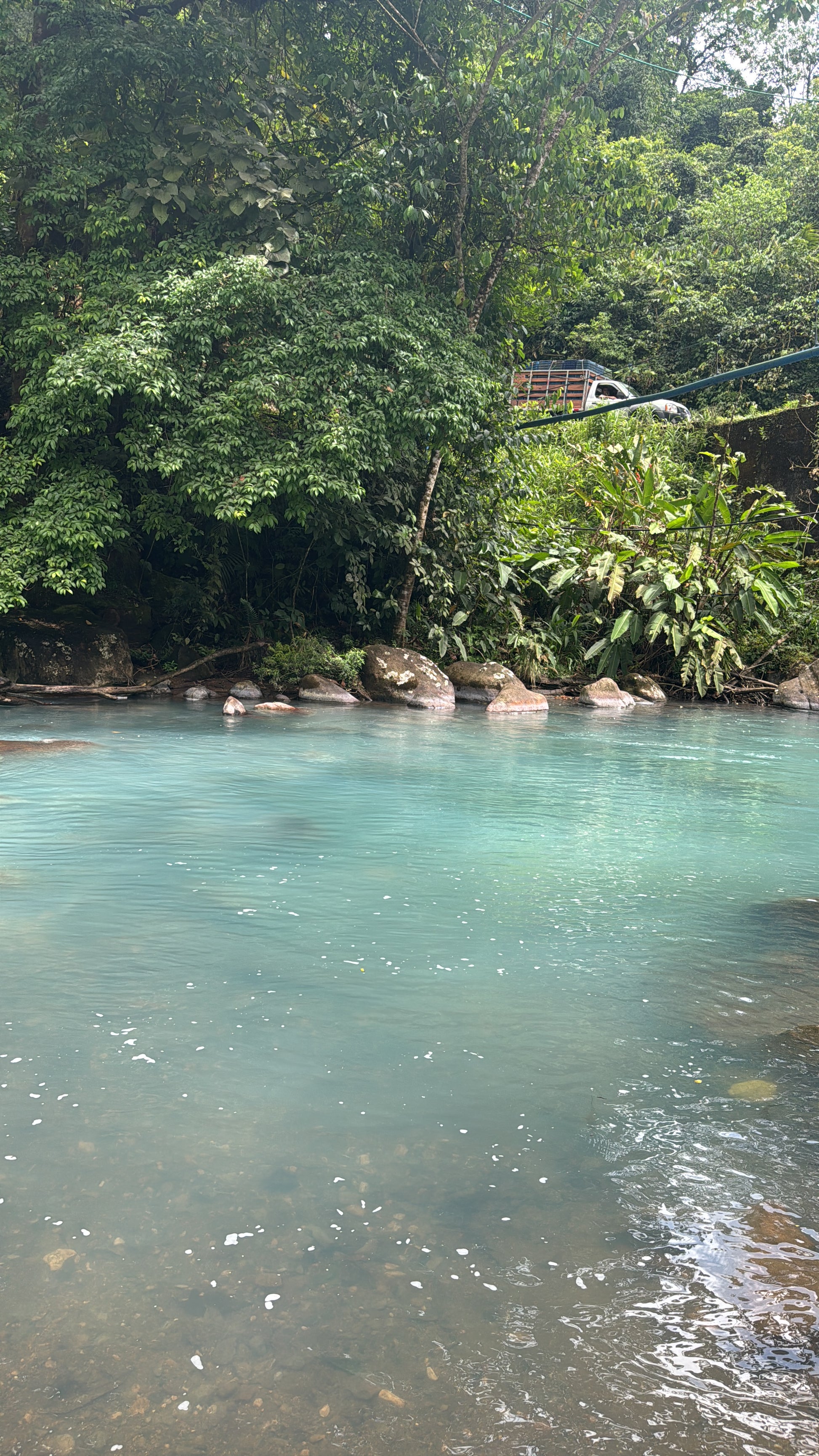 Tour Guiado de Avistamientos – Cataratas, Vida Silvestre y Río Celeste
